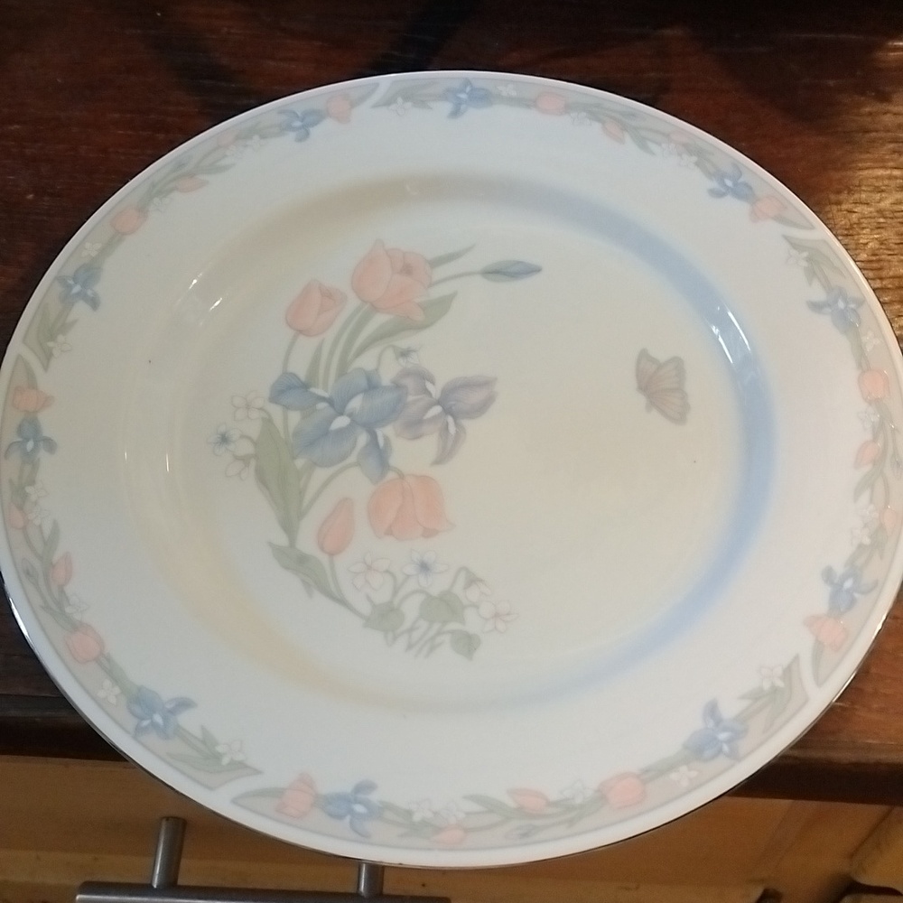 Illusions By Excel Dinner Plate.